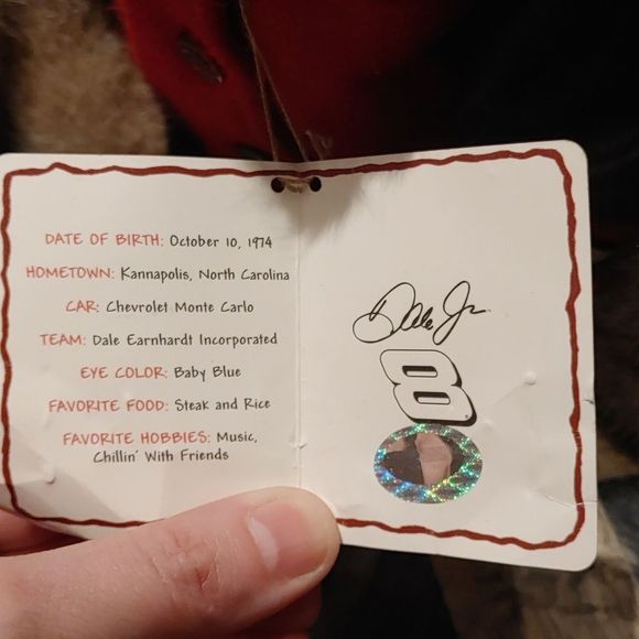 Nascar #8 Dale Earnhardt Jr Boyd bear - Picture 3 of 3